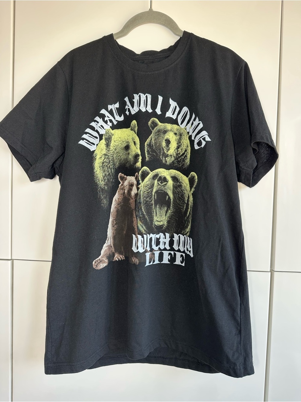 Chemistry T Shirt Grizzly Bears What am I Doing With My Life Novelty T-shirt LG